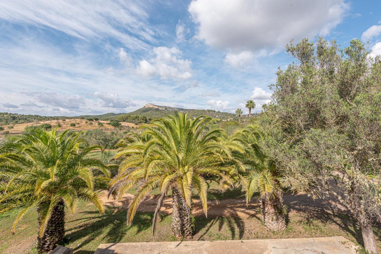 Sa Bassa Seca Manacor (Mallorca)
